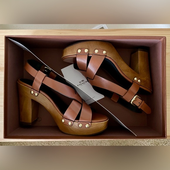 COACH Adessa Semi Matte Calf (Saddle & Wood) - Picture 11 of 11